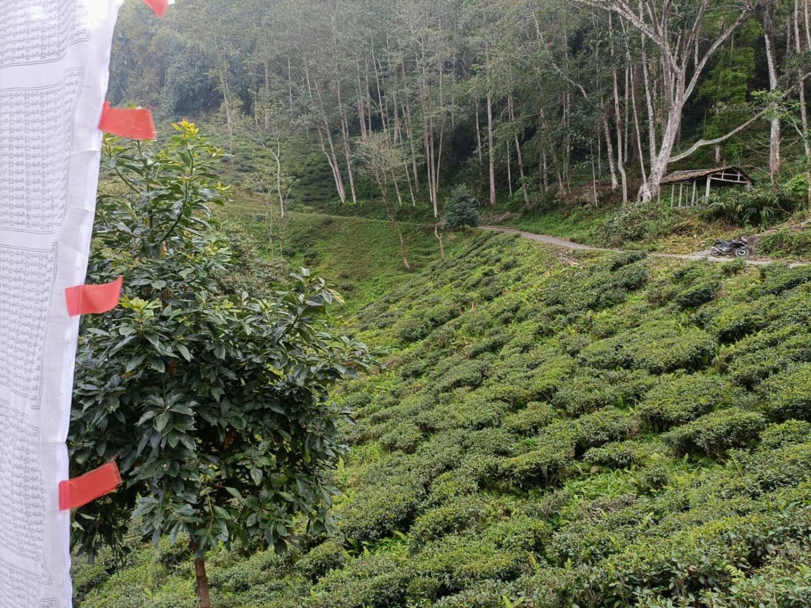 Dsd Bomzon Homestay Darjeeling  Exterior foto