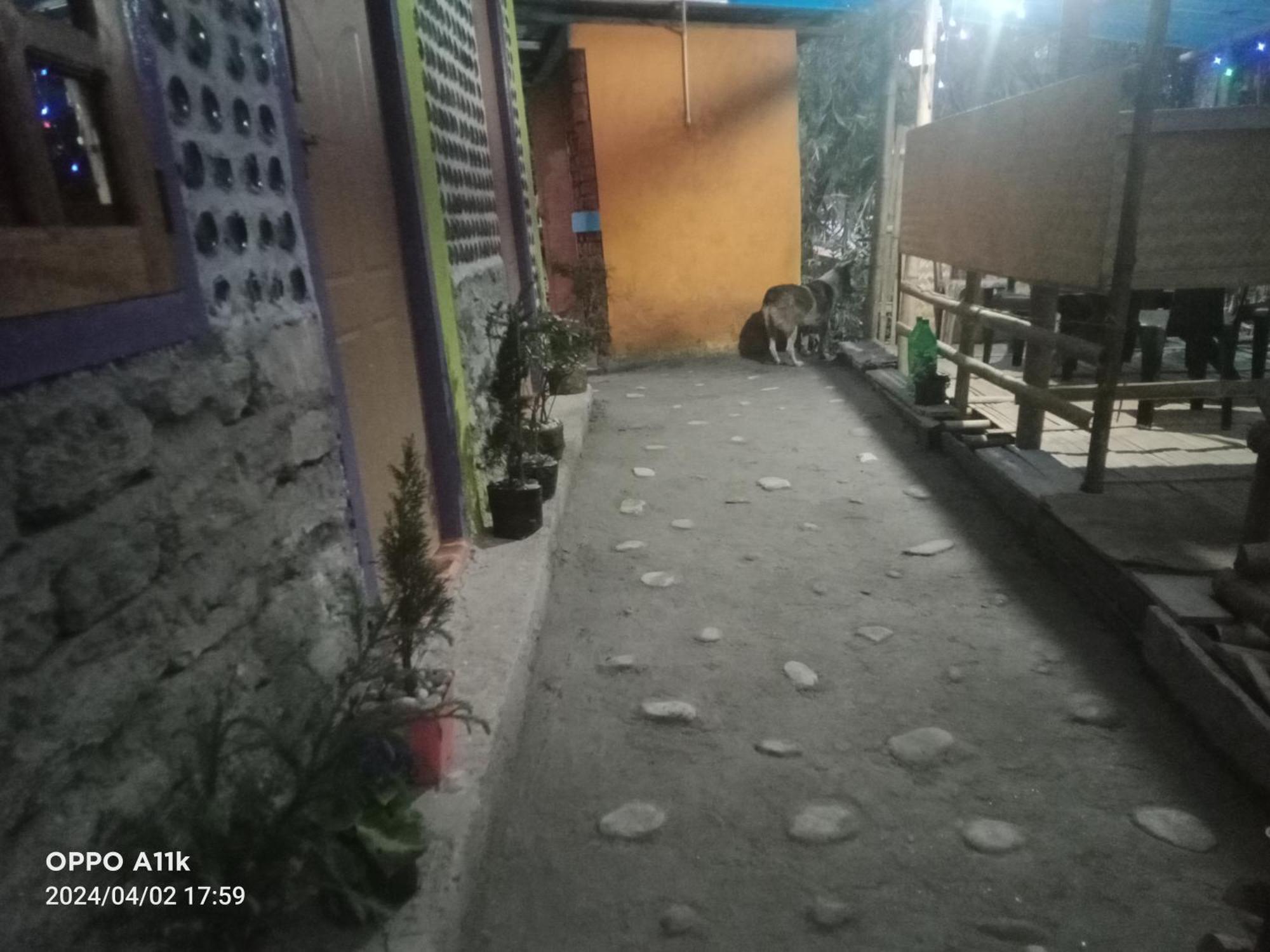 Dsd Bomzon Homestay Darjeeling  Exterior foto