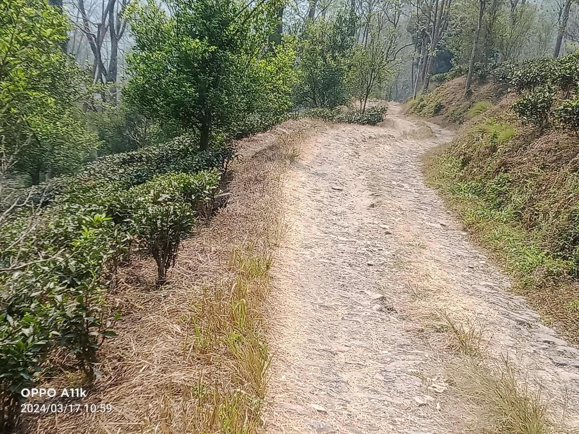 Dsd Bomzon Homestay Darjeeling  Exterior foto